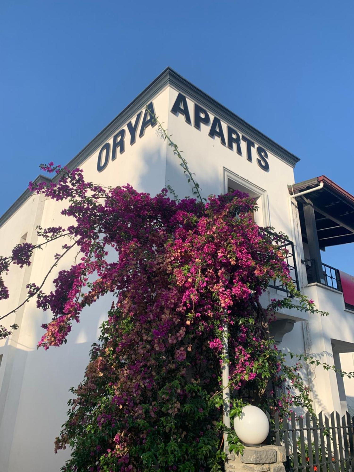 Orya Aparts Gümbet Dış mekan fotoğraf